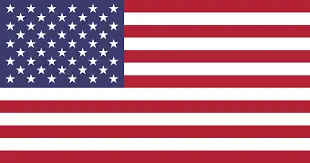 american flag-Albany