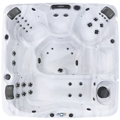 Avalon EC-840L hot tubs for sale in Albany