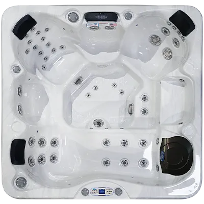 Avalon EC-849L hot tubs for sale in Albany