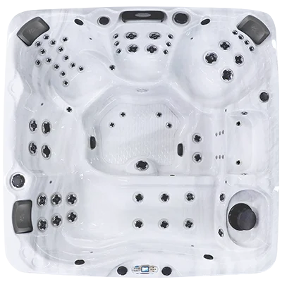 Avalon EC-867L hot tubs for sale in Albany