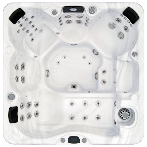 Avalon-X EC-867LX hot tubs for sale in Albany