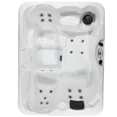 Kona PZ-519L hot tubs for sale in Albany