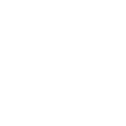 ce logo Albany